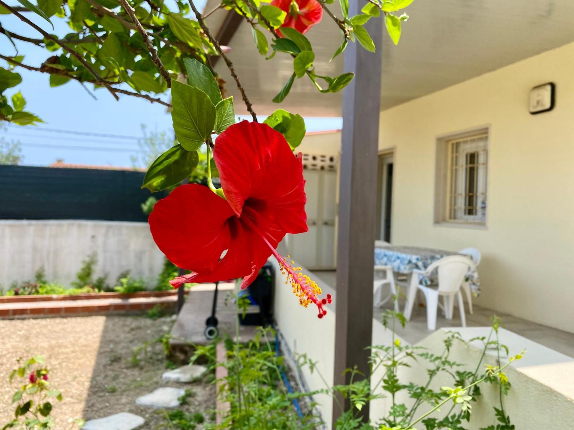 Viviholiday Calabernardo Dış mekan fotoğraf
